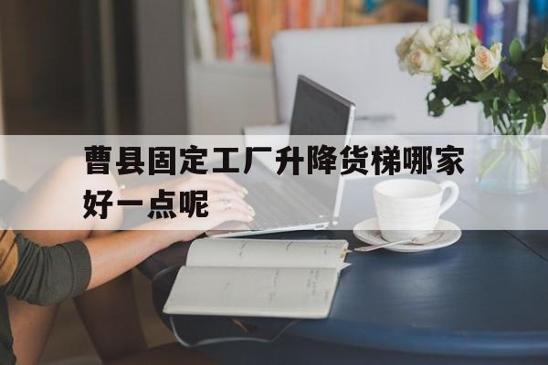 曹县固定工厂升降货梯哪家好一点呢（10米固定式升降货梯）