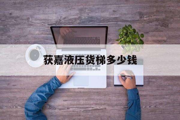 获嘉液压货梯多少钱（小型液压升降机）