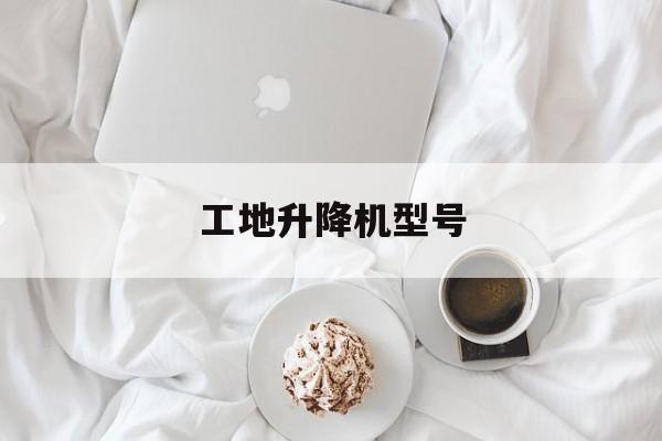 工地升降机型号（工地升降机内部图）