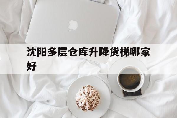 沈阳多层仓库升降货梯哪家好（3000元小型升降货梯）