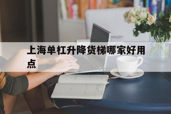 上海单杠升降货梯哪家好用点（6米升降货梯厂家电话）